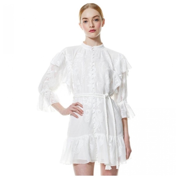 alice + olivia teddi dress size 8 NWT - Picture 11 of 14